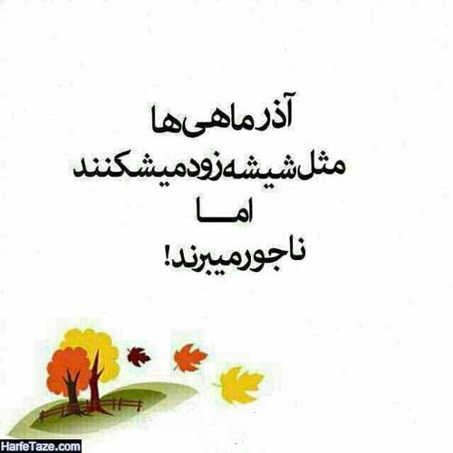 پروفایل آذر ماهی ها ، شعر و متن آذر ماهی یعنی + عکس پروفایل آذر ماهی جدید