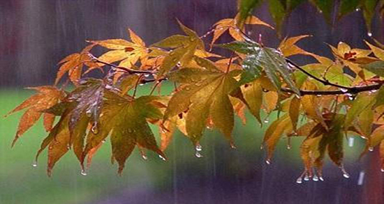 متن در مورد باران پاییزی ، متن های بارانی عاشقانه و غمگین + دلنوشته باران