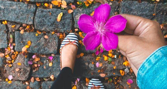 یک شعر زیبا برای عید نوروز ، یک بیت شعر برای تبریک عید نوروز و سال نو