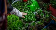 متن تبریک عید نوروز اداری ، رسمی + متن اداری تبریک سال نو به مدیریت