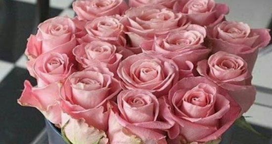 شعر نو تولد خواهر ، عزیزترین خواهر دنیا تولدت مبارک + تولد خواهر گلم