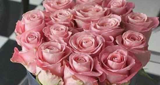 متن تولدت مبارک به انگلیسی برای معلم ، تولدت مبارک عزیزم به انگلیسی