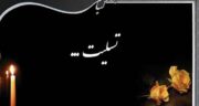 روحت شاد عزیزم ، شعر و متن پدربزرگ عزیزم روحت شاد
