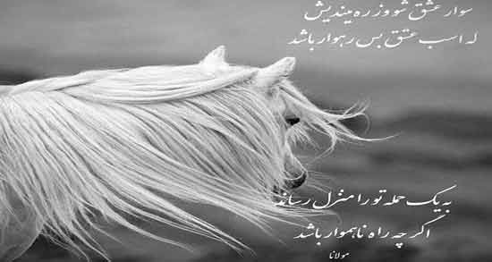 اسب در شعر مولانا ؛ مجموعه ای از بهترین اشعار مولانا درباره اسب