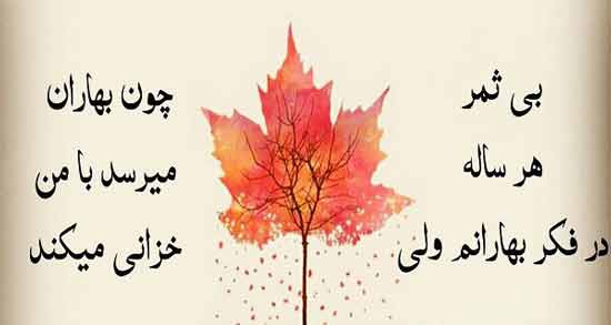جمله با ثمر ؛ مجموعه ای از کوتاه ترین و زیباترین جملات با ثمر