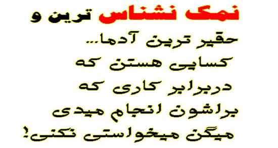جواب آدم نمک نشناس ؛ جملاتی در جواب افراد نمک نشناس