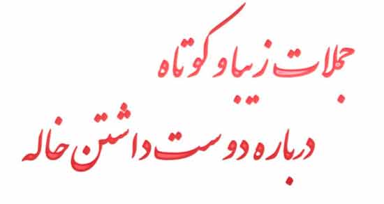 خاله یعنی زندگی ؛ مجموعه ای از بهترین جملات درباره خاله مهربون