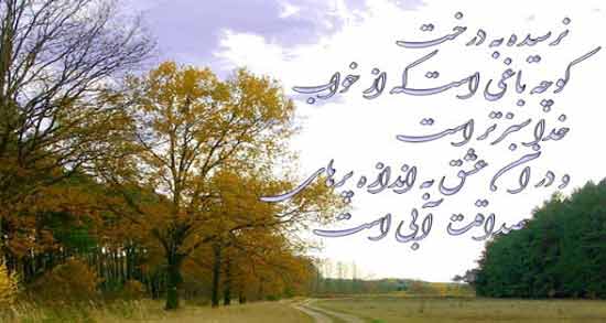 شعر باغ سهراب سپهری ؛ مجموعه ای از بهترین اشعار سهراب سپهری درباره باغ