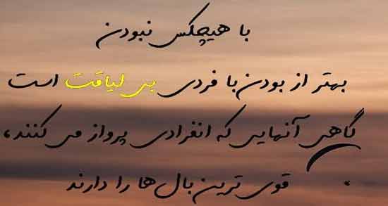 شعر در مورد افراد نالایق ؛ گلچینی از اشعار در وصف افراد نالایق
