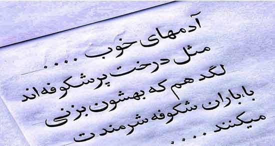 شعر در مورد بزرگی انسان ؛ اشعاری بسیار زیبا درباره بزرگی انسان