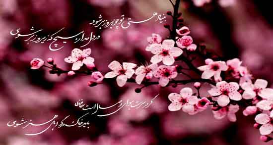 شعر در مورد بهار از حافظ ؛ گلچینی از بهترین اشعار حافظ درباره بهار