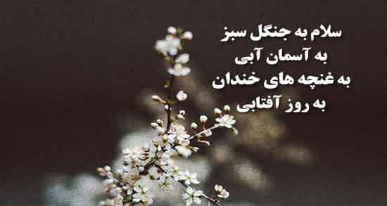 شعر در مورد جنگل و عشق ؛ مجموعه ای از بهترین اشعار درباره جنگل و عشق