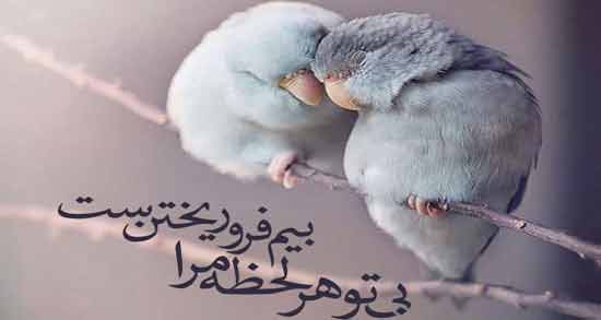 شعر در مورد دوست داشتن بی نهایت ؛ اشعاری عاشقانه درباره دوست داشتن