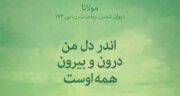 شعر در مورد زیبایی از مولانا ؛ گلچینی از اشعار زیبای مولانا در مورد زیبایی