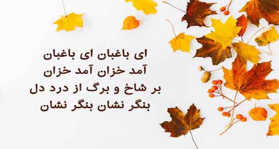 شعر در مورد پاییز برای مقدمه انشا ؛ زیباترین اشعار در مورد پاییز برای انشا