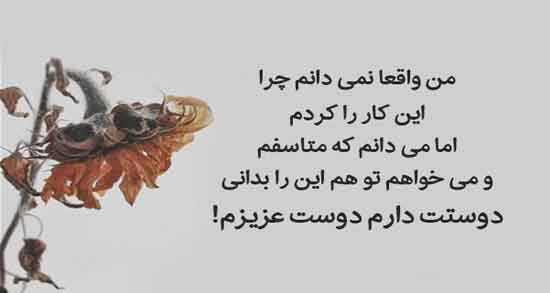 شعر عذرخواهی از حافظ ؛ مجموعه ای از بهترین اشعار حافظ درباره عذرخواهی