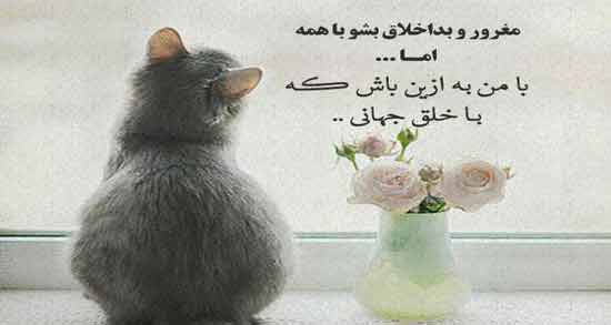 شعر مولانا در مورد غرور ؛ زیباترین اشعار درباره غرور