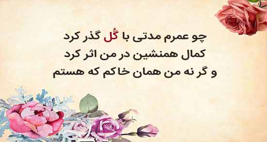 شعر نو درباره باغ ؛ زیباترین اشعار نو در مورد باغ