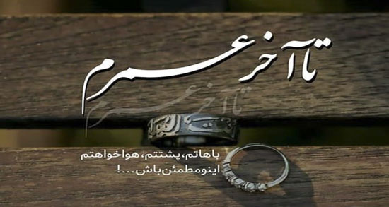 شعر نو کوتاه جدید ؛ گلچینی از اشعار نو بسیار زیبا