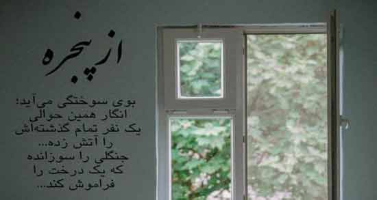 شعر پنجره از شاملو ؛ گلچینی از اشعار زیبای شاملو درباره پنجره