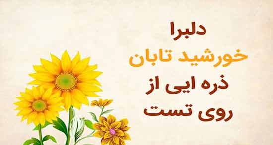 شعر کوتاه در وصف زیبایی ؛ مجموعه اشعار کوتاه و زیبا در وصف زیبایی