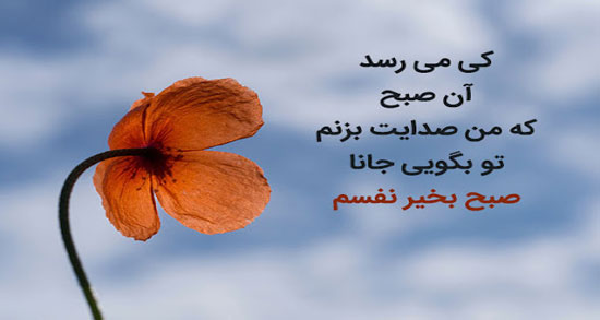 شعر کوتاه صبح بخیر ؛ مجموعه ای از اشعار زیبا برای صبح بخیر گفتن