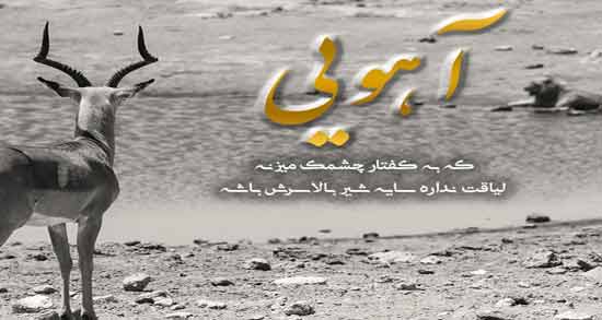 متن شیر و آهو ؛ مجموعه ای از جملات زیبا درباره شیر و آهو