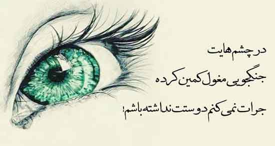 مولانا شعر در وصف زیبایی چهره ؛ اشعار زیبای مولانا در وصف زیبایی چهره