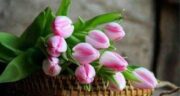 شعر حافظ در مورد تقدیر و تشکر ، شعر حافظ در مورد تقدیر و سرنوشت