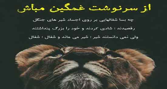 جملات فلسفی در مورد شیر ؛ گلچینی از جملات زیبا درباره شیر