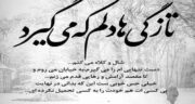 شعر در مورد تازگی و مجموعه اشعار زیبا درباره تازگی
