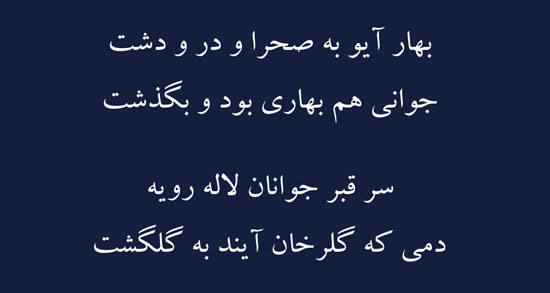 شعر در مورد دشت و صحرا ؛ مجموعه ای از اشعار درباره دشت و صحرا
