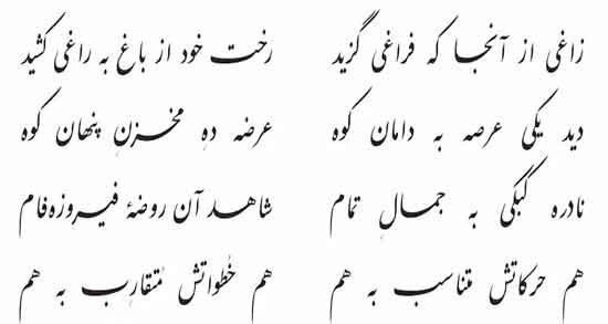 شعر زاغ و کبک ؛ گلچینی اشعار زیبا زاغ و کبک