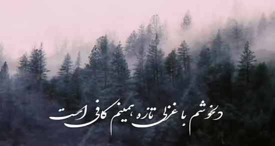 شعر نو درباره شادی ؛ زیباترین اشعار نو در مورد شادی