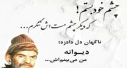 ضرب المثل در شعر شهریار و مجموعه ای از بهترین ضرب المثل های شهریار