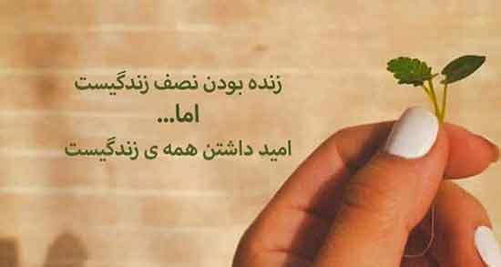 شعر حال خوب شاملو ، جملات عاشقانه و ناب احمد شاملو