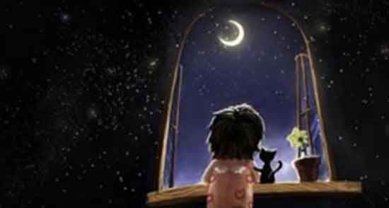 شعر مولانا در مورد بیداری ، شعر حافظ در مورد شب بیداری