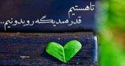 شعر سعدی در مورد قدر دانستن ، متن کوتاه تا زنده ایم قدر همو بدونیم