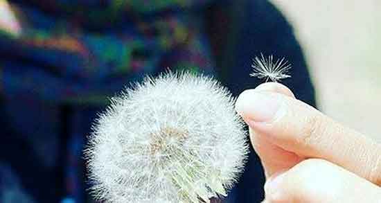 متن درباره موفقیت زنان ، جملات کوتاه در مورد زن + متن در مورد زن قوی