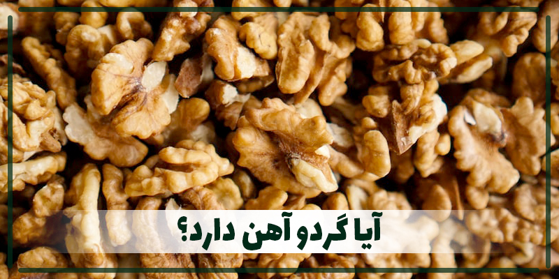 D:\آقای گردو\Nuts\گردو\گردو-محتوا\آیا گردو آهن دارد\گردو آهن دارد.jpg