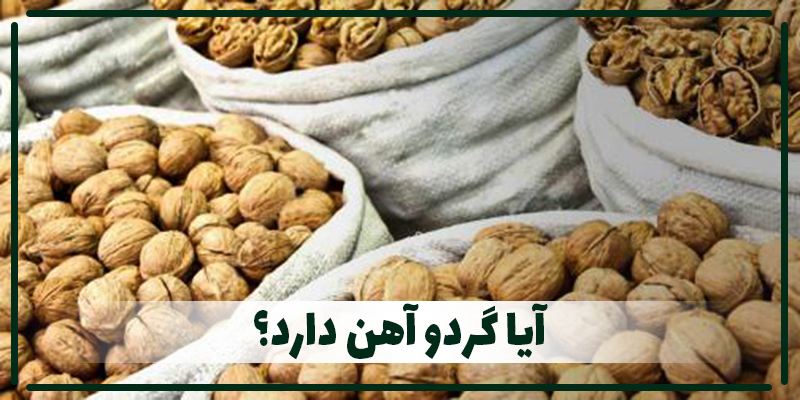 D:\آقای گردو\Nuts\گردو\گردو-محتوا\آیا گردو آهن دارد\آیا گردو آهن دارد.jpg