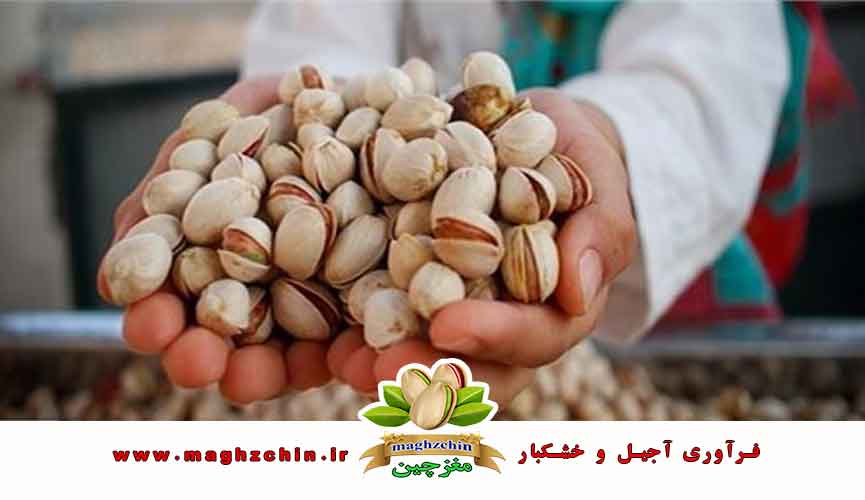 خرید مغز پسته با کیفیت