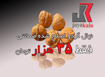 نهال گردو اصلاح شده و تضمینی فقط 35 هزار تومان