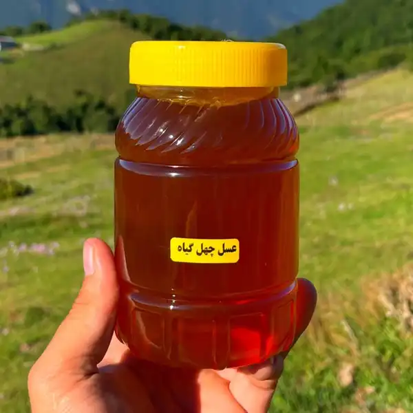 خواص عسل چهل گیاه خیراندیش در طب سنتی برای پوست و مو و دیابت و لاغری