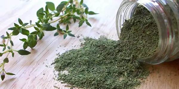 خواص آویشن خیراندیش در طب سنتی برای پوست و مو و دیابت و لاغری