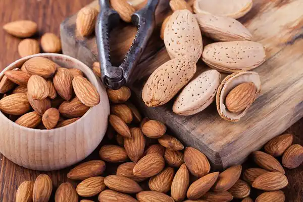 خواص بادام تلخ خیراندیش در طب سنتی برای پوست و مو و دیابت و لاغری