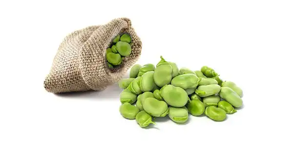 خواص باقلا خیراندیش در طب سنتی برای پوست و مو و دیابت و لاغری