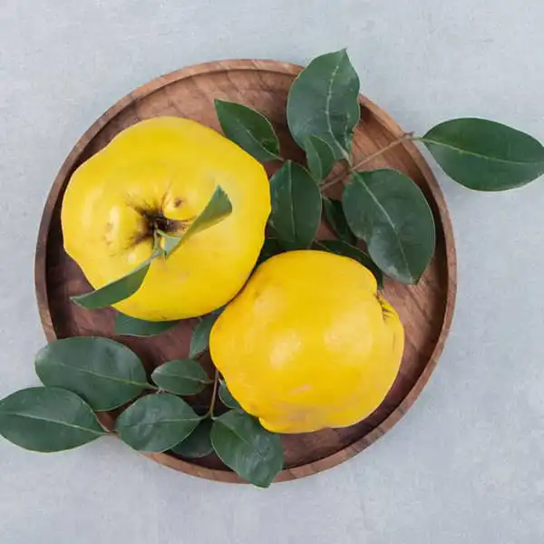خواص برگ به خیراندیش در طب سنتی برای پوست و مو و دیابت و لاغری