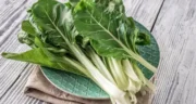 خواص برگ چغندر خیراندیش در طب سنتی برای پوست و مو و دیابت و لاغری