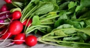 خواص برگ تربچه خیراندیش در طب سنتی برای پوست و مو و دیابت و لاغری